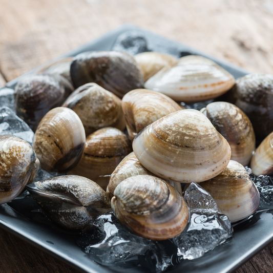 Clams (500 gm)